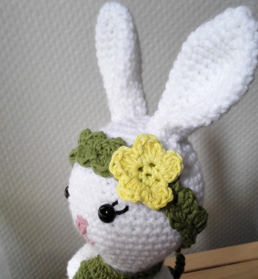 IMG_20170529_141732k