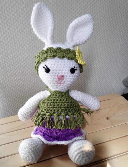 IMG_20170529_145955ø